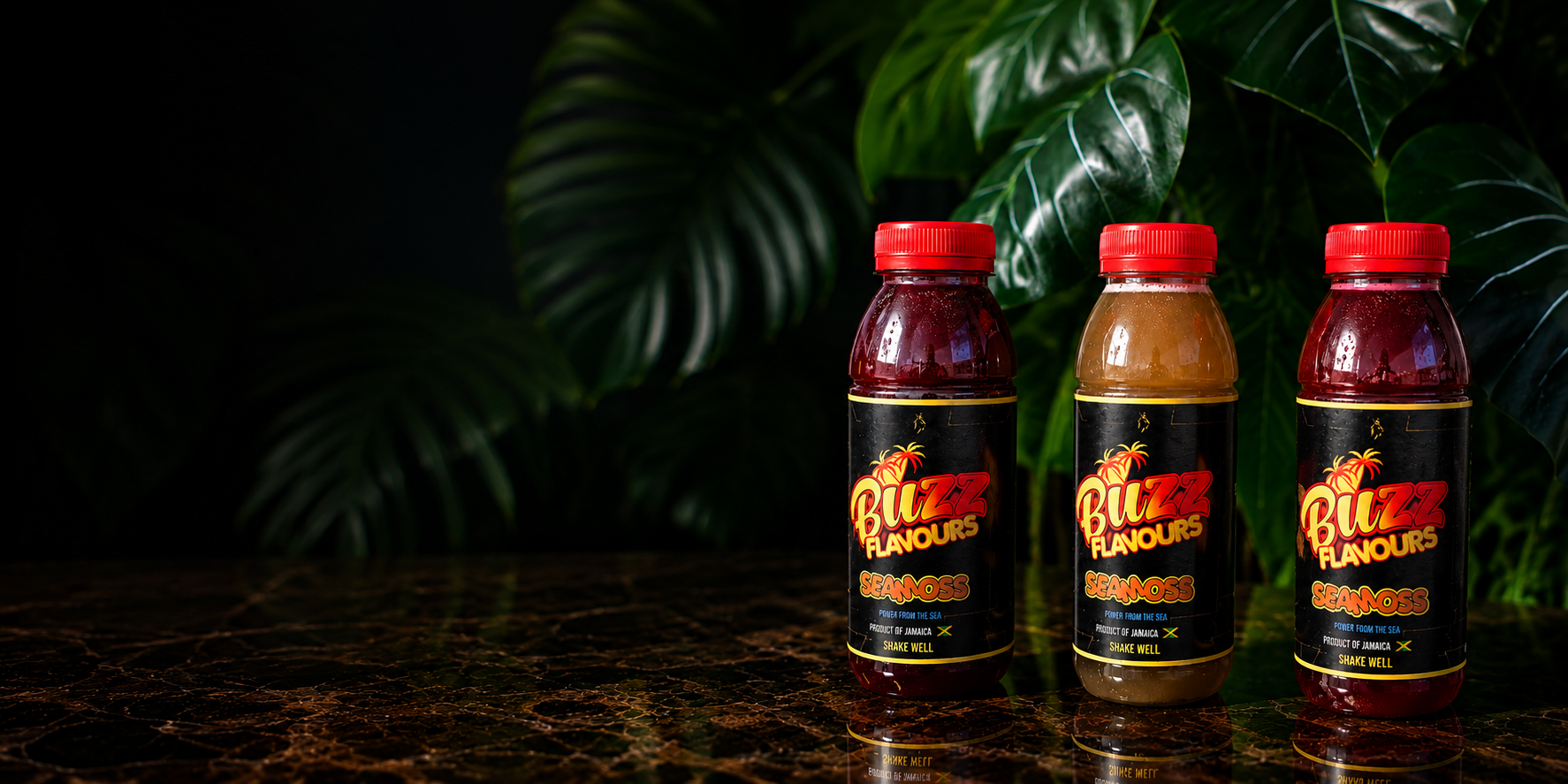 Three Buzz Flavours seamoss bottles in front of tropical leaves