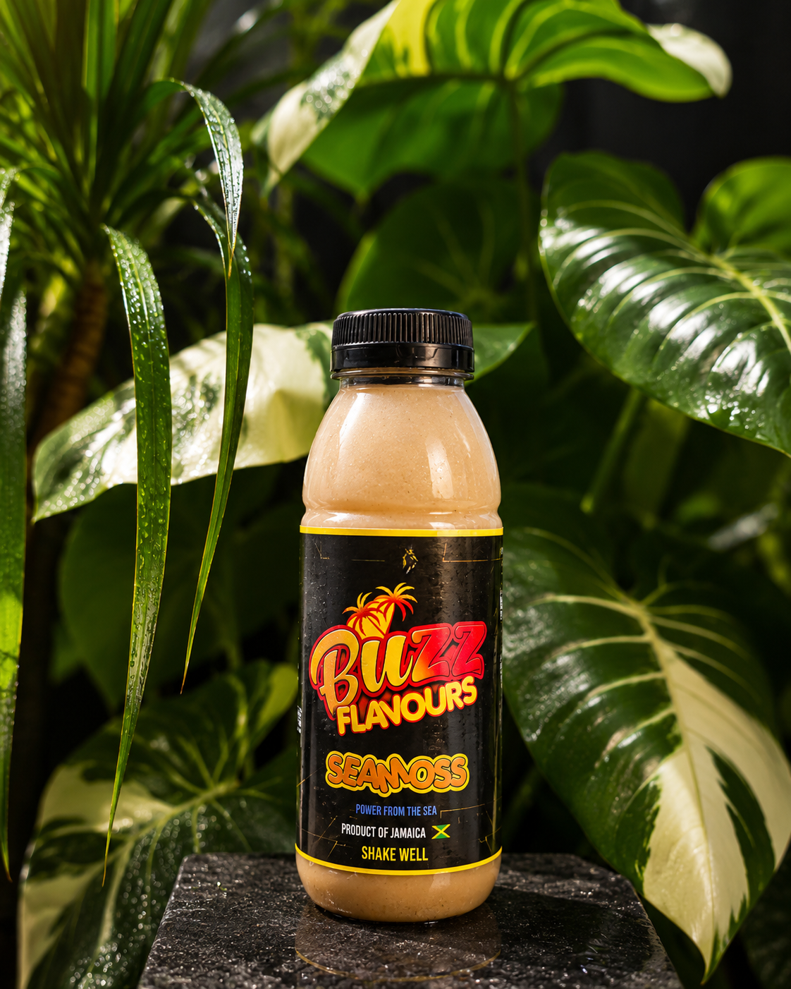 Buzz Flavours Seamoss & Ginger bottle
